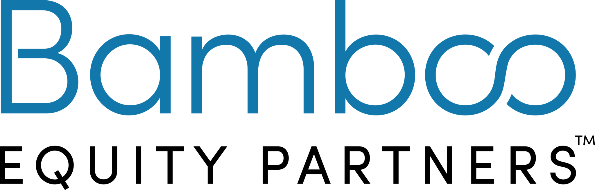 Bamboo Equity Partners logo